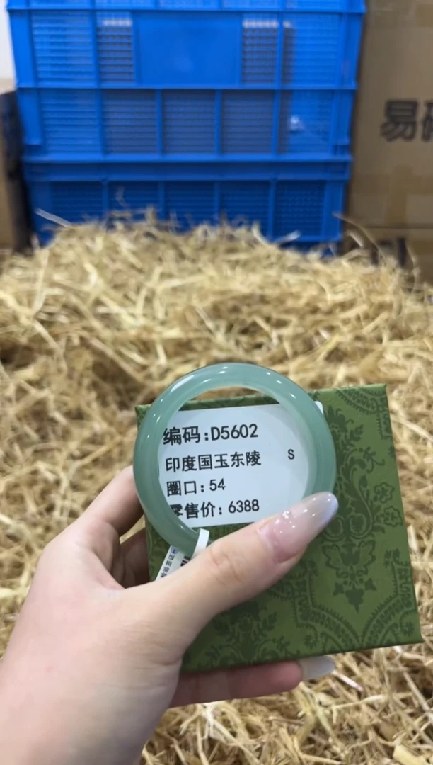 未镶嵌手镯石英质玉D5602