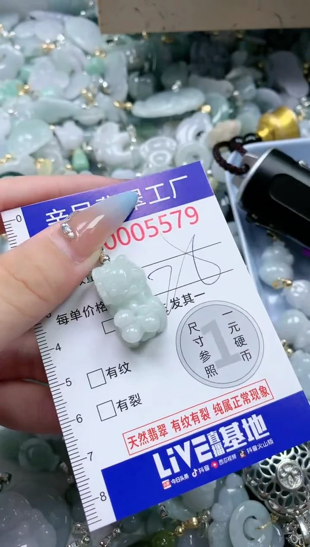 翡翠未镶嵌吊坠(不含链)5579