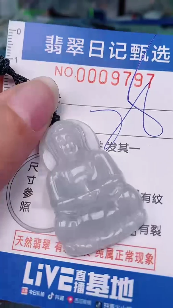 【闪购商品】翡翠颈饰未镶嵌00009797