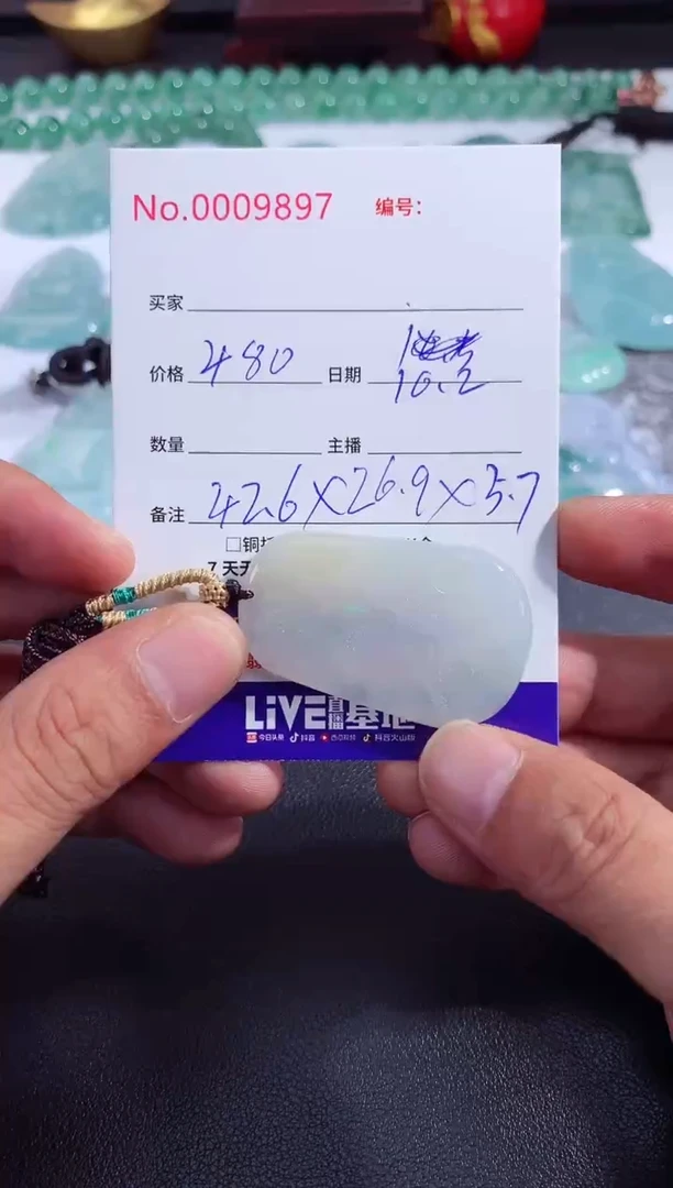 颈饰未镶嵌翡翠山水