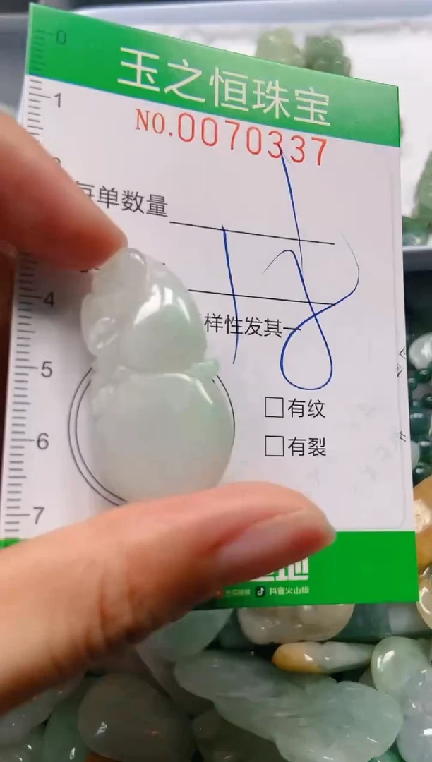 翡翠未镶嵌颈饰闪购0070337