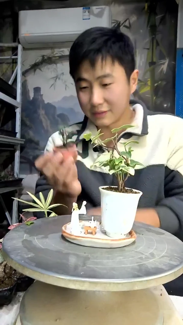 拜**e中青园艺一物一拍花464