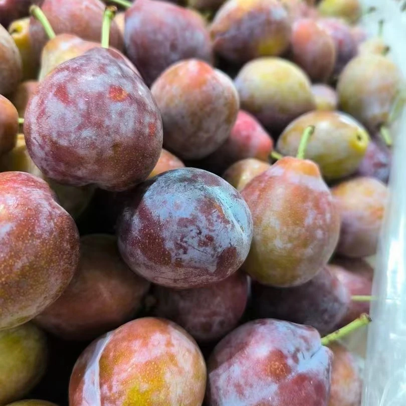 智利法兰西西梅500g