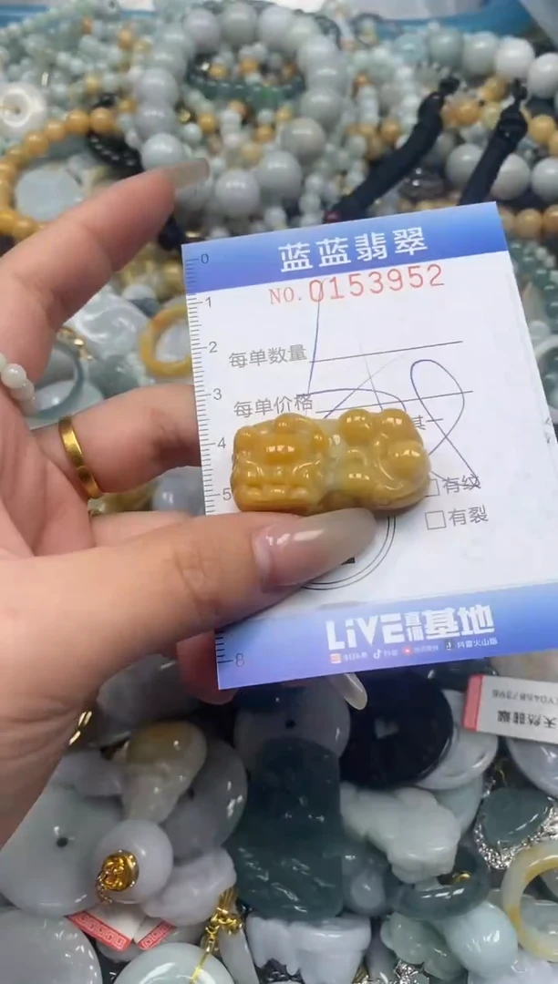 【闪购商品】翡翠颈饰未镶嵌闪购0153952多样性发其一