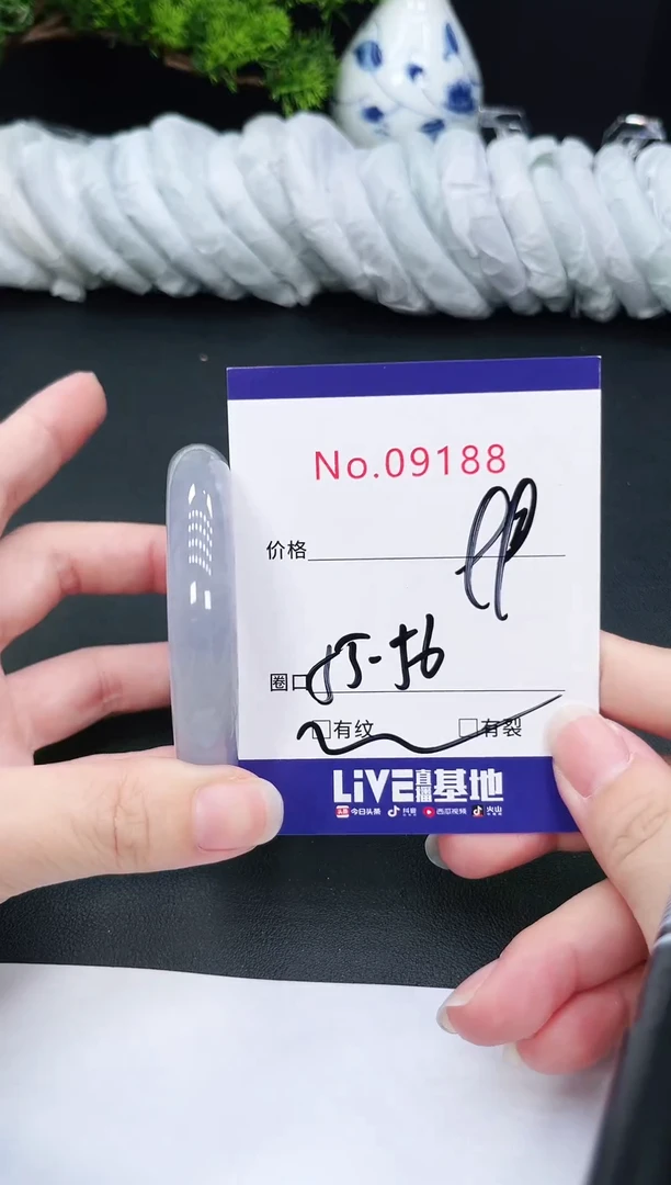 未镶嵌手镯翡翠9188