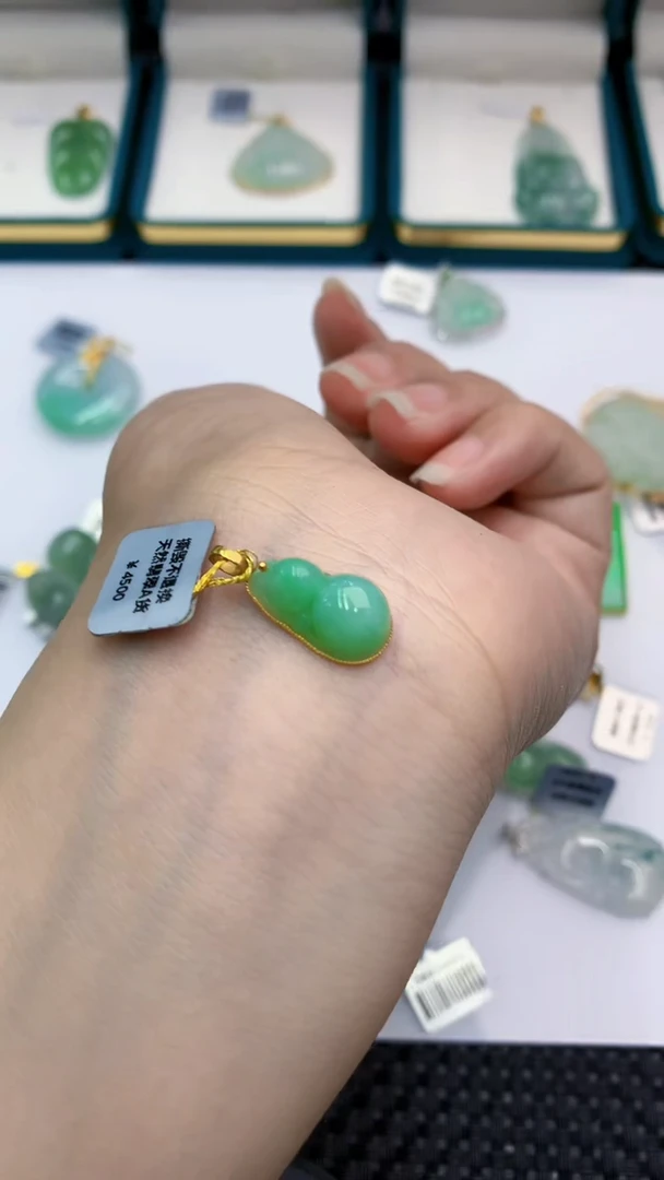 【闪购商品】翡翠颈饰18K金镶嵌            8