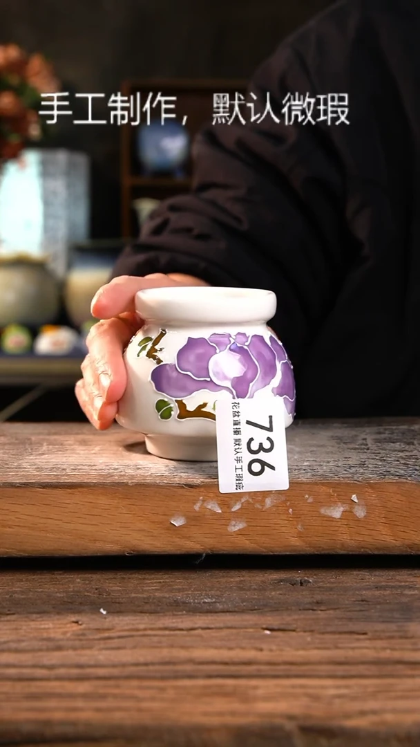 【闪购商品】陶瓷手绘福利花盆