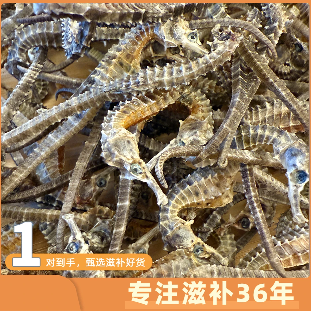 皇福临深海正品海马货1.25-1.5克一对