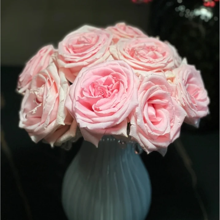 【探花甄选】宝贝的爱（带包装醒花） 任意两单升级顺丰冷链