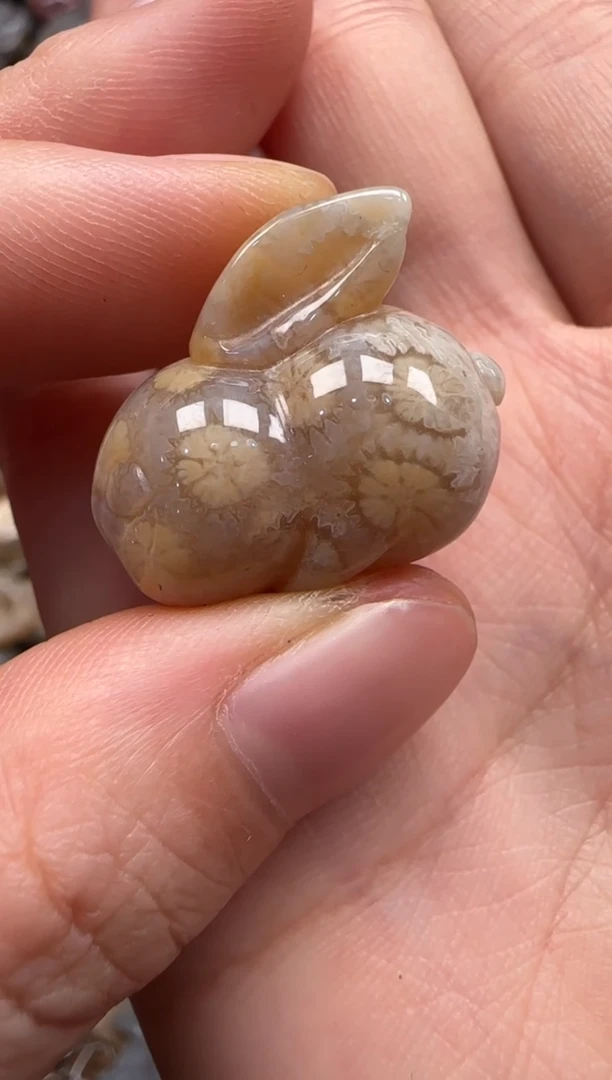 【闪购商品】硅化珊瑚（珊瑚玉）颈饰未镶嵌448