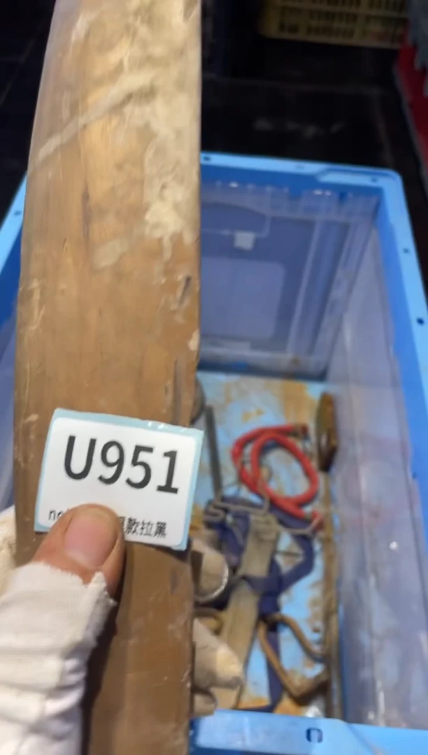 瓷片世***落表弟直播链接火爆