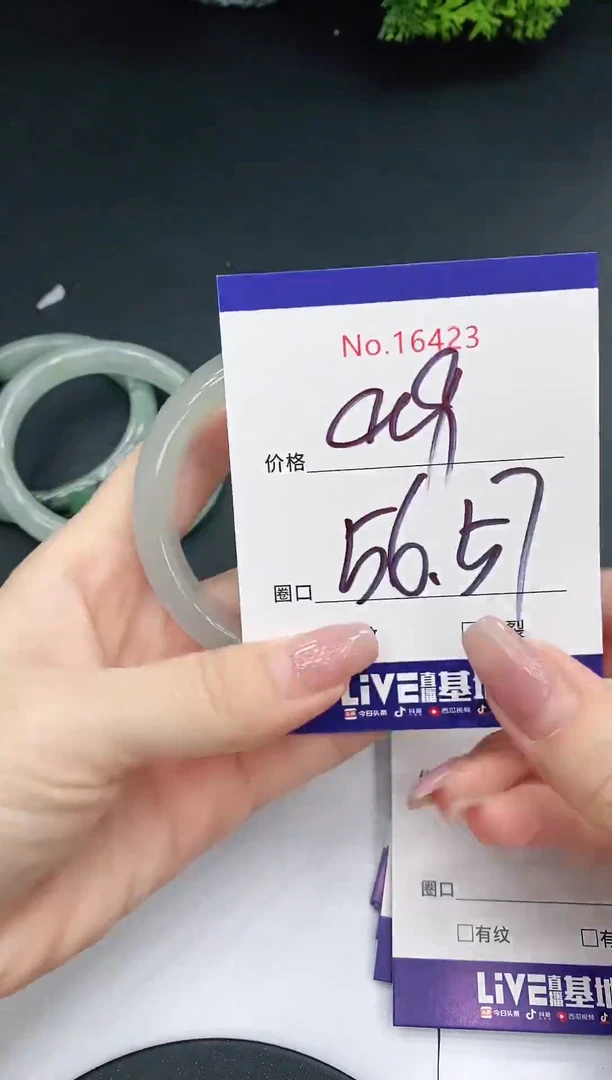 未镶嵌手镯翡翠16423