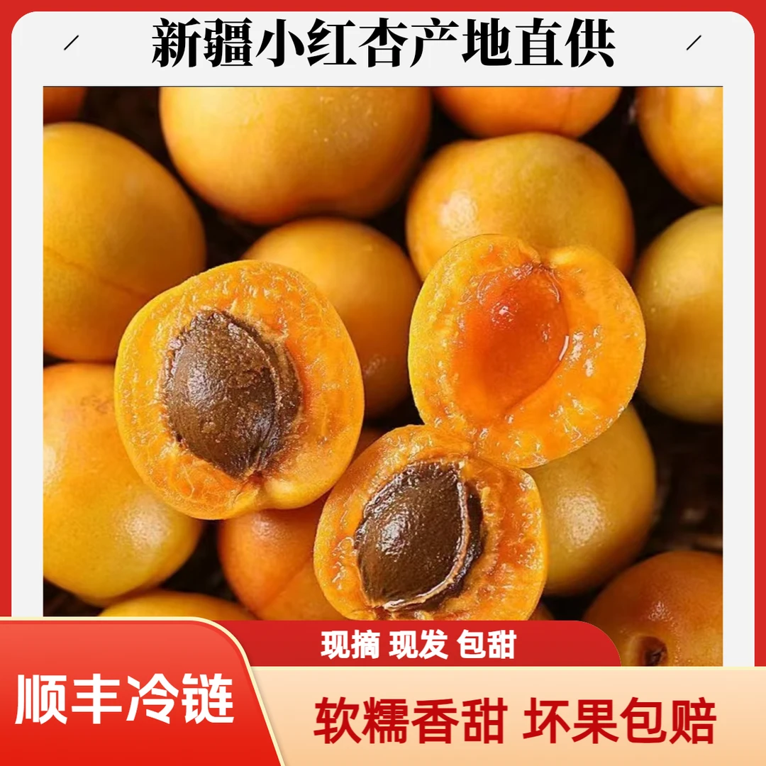 【顺丰快递次日达】新疆吊干杏小红杏当季甜杏3斤香甜软糯饱满多汁新疆维吾尔自治区