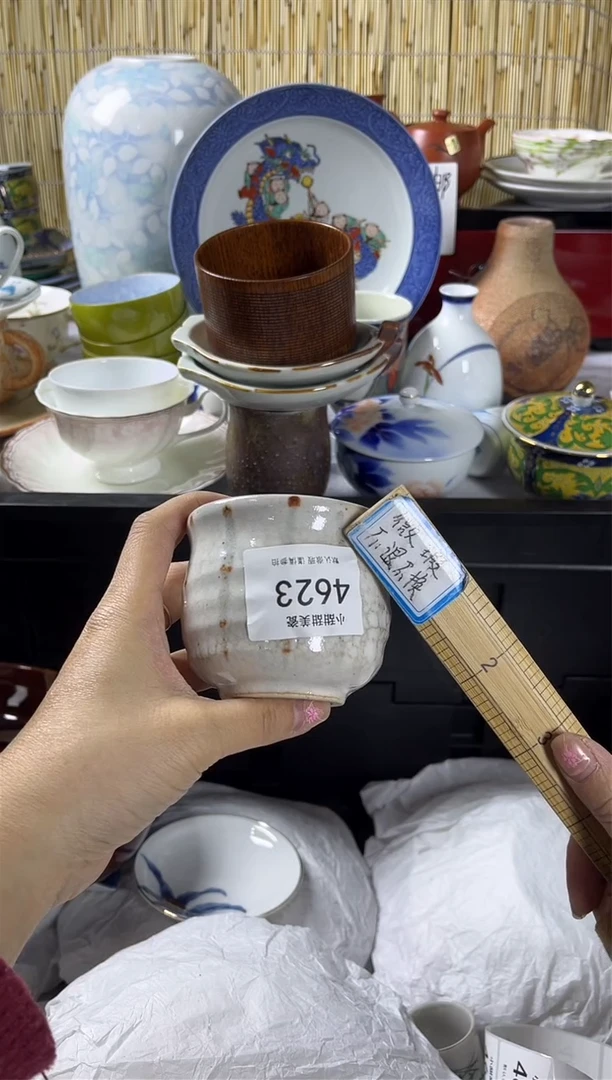 【闪购商品】碟            4623