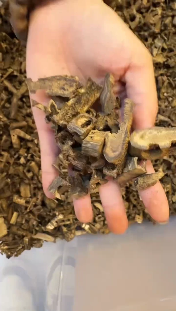 沉香碎屑沉香海南钻珠料100克多样性发货一份