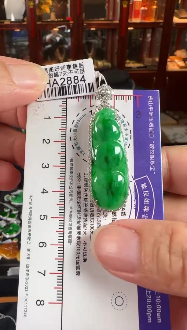 颈饰18K金镶嵌翡翠HA2884辣绿豆豆