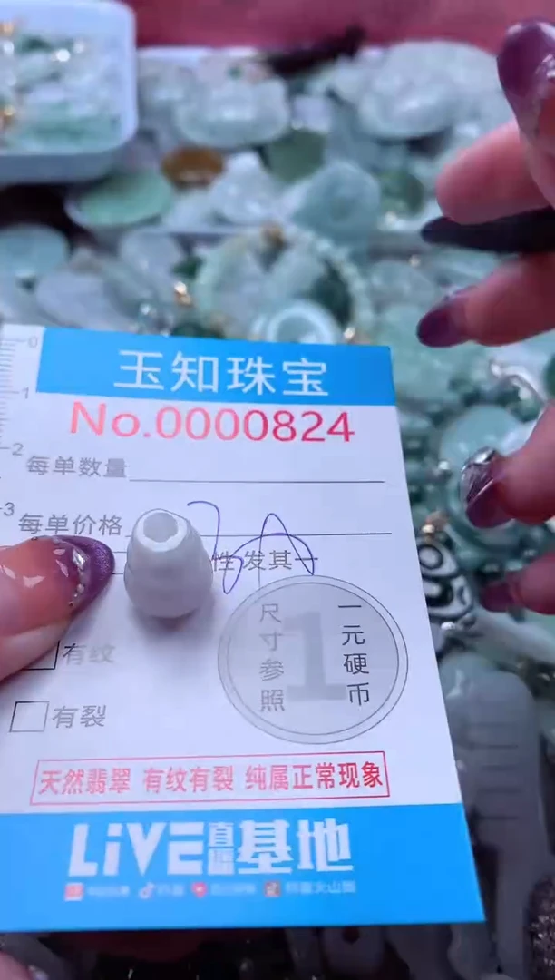翡翠未镶嵌吊坠(不含链)824