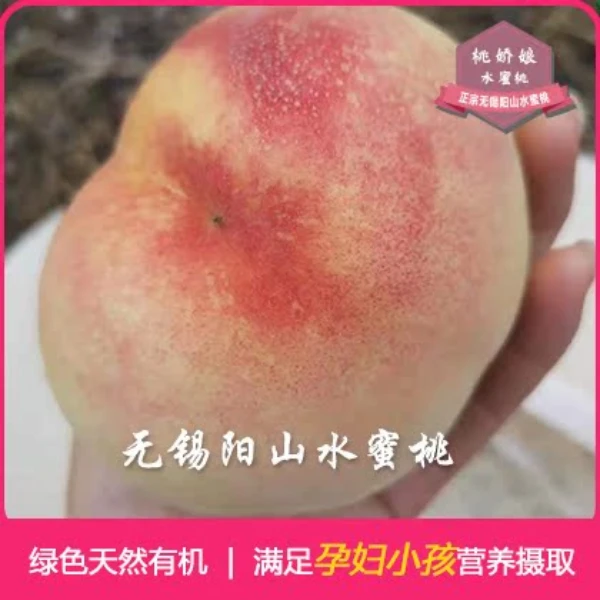 [4-3两]2025日川朝阳水蜜桃正宗无锡阳山水蜜桃开摘啦