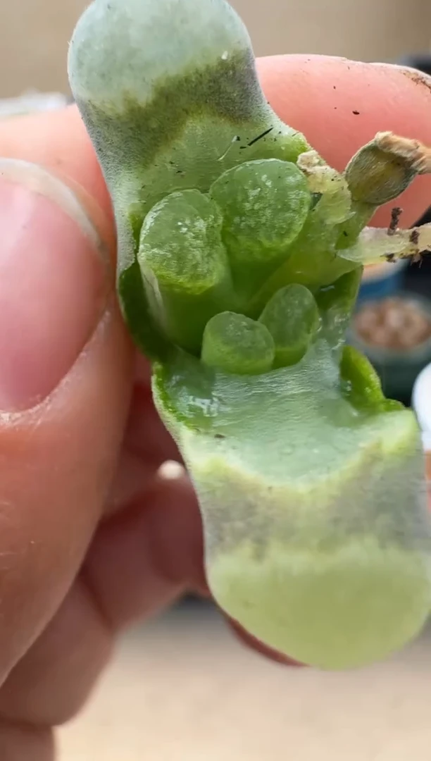 【闪购商品】22-12.