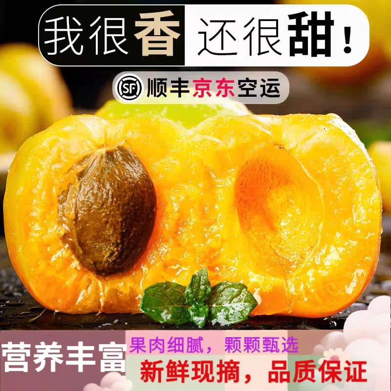 正宗香甜珍珠油杏新鲜水果当季蜜甜白杏油杏子爆甜多汁现摘顺丰