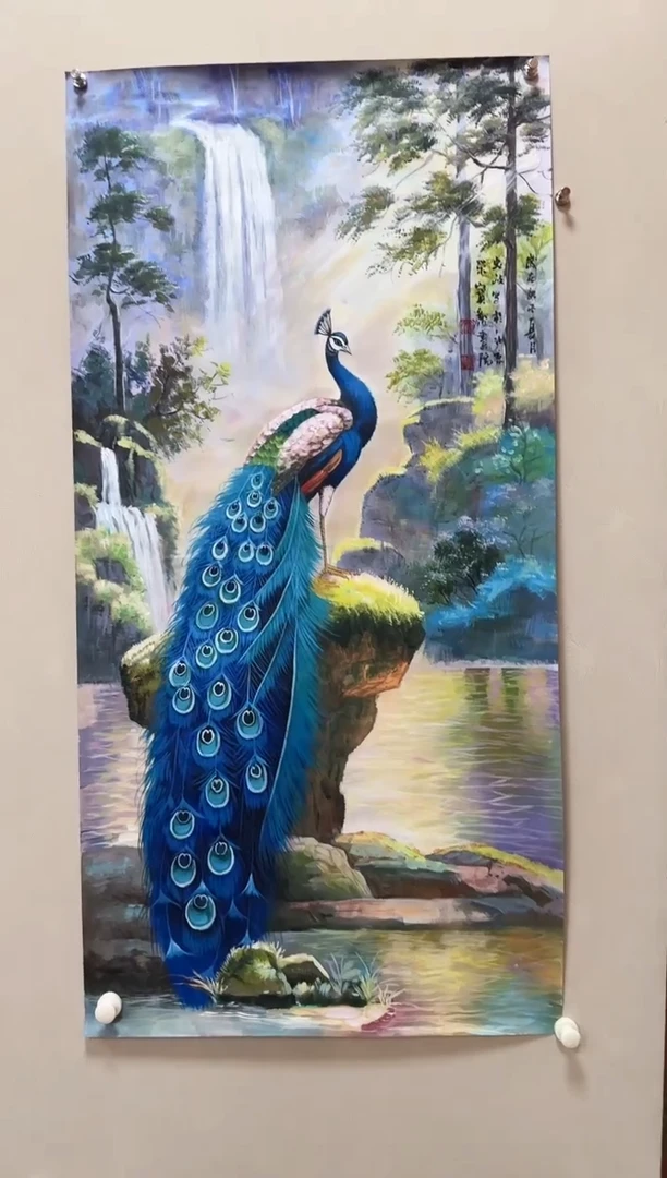 国画周虹岐-国画孔雀8平尺