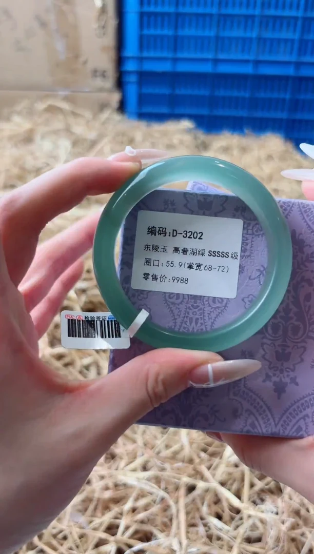 未镶嵌手镯石英质玉D-3202
