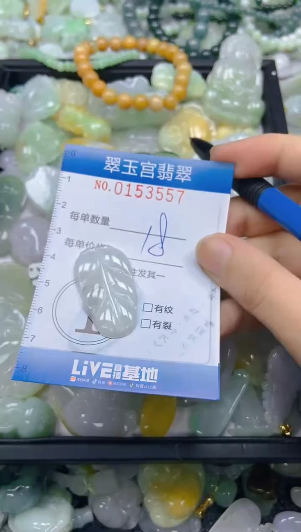 翡翠未镶嵌颈饰闪购0153557