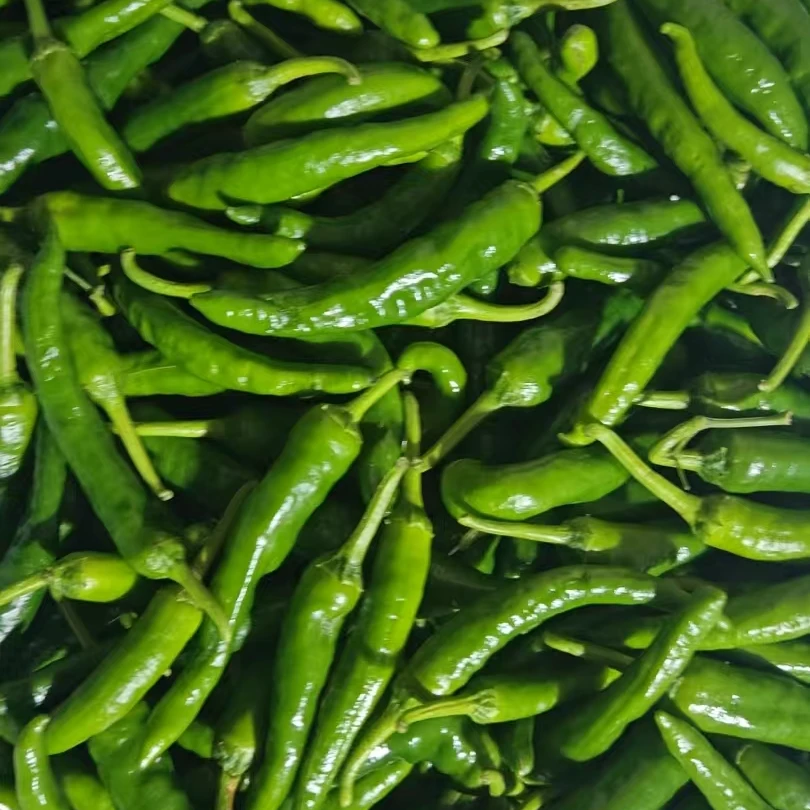 湖南岳阳本地辣椒3斤5斤包邮