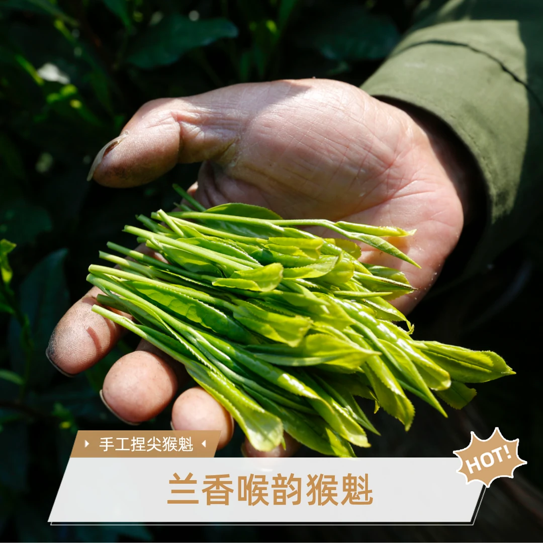 坑王精选野猴子喉韵猴魁手工捏尖绿茶50g 花香（拆封不支持退）