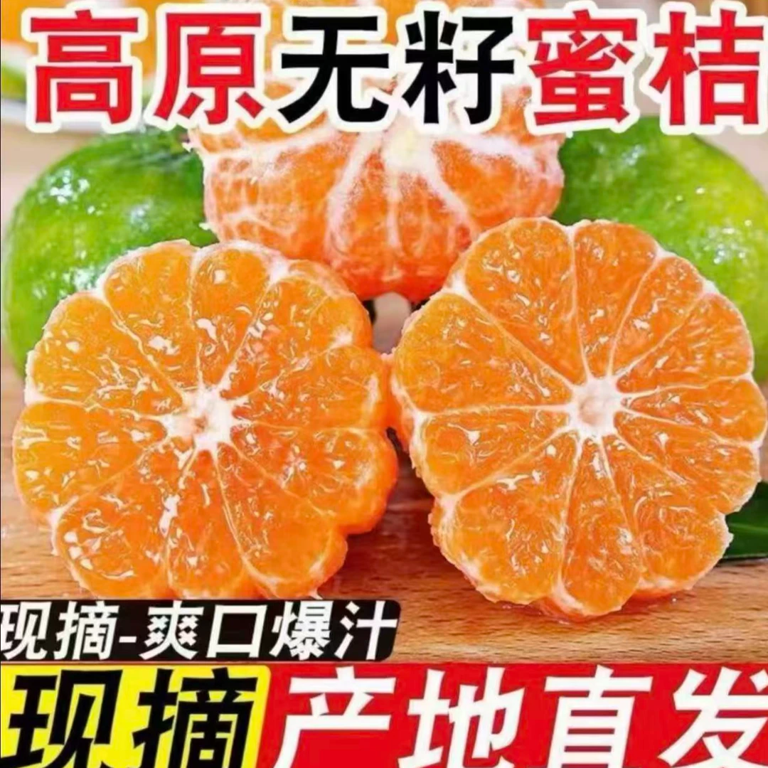 高山青皮无籽蜜橘新鲜当季水果酸甜多汁薄皮整箱包邮-GT