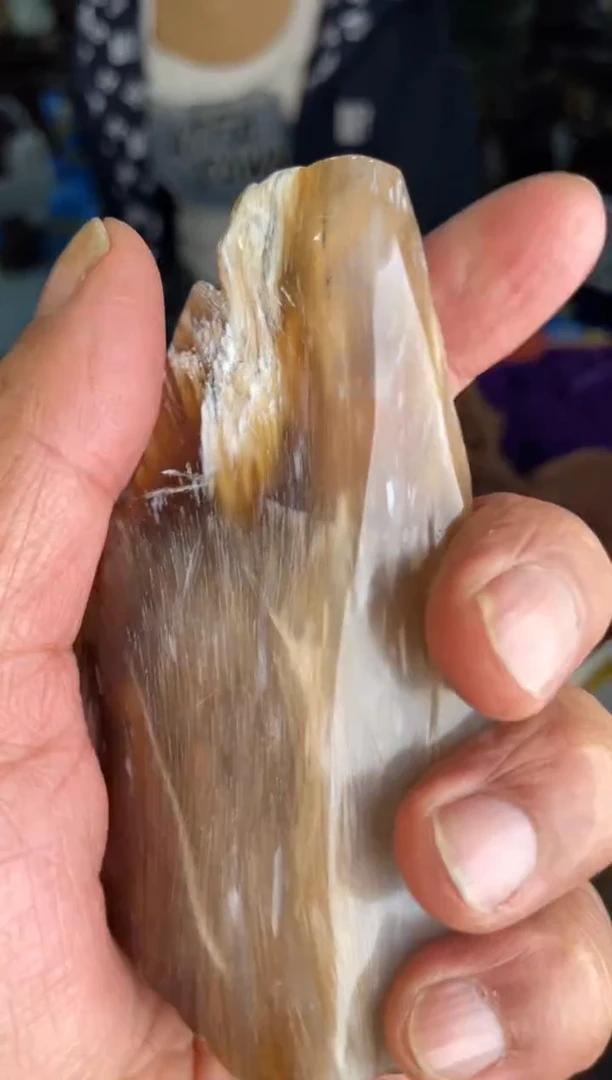 未镶嵌手把硅化玉20