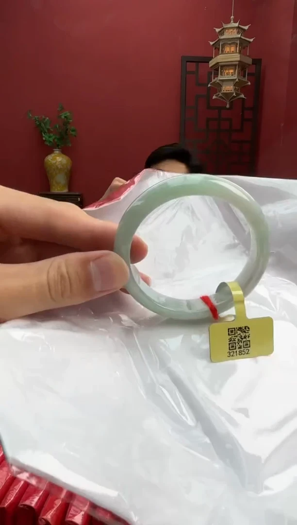 未镶嵌手镯翡翠翡翠手镯12
