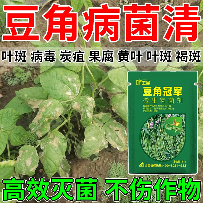 豆角病毒病专用药花叶卷叶黄叶病豆角病毒病专用豆角病微生物菌剂