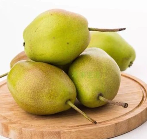 酥梨约1斤 约1斤