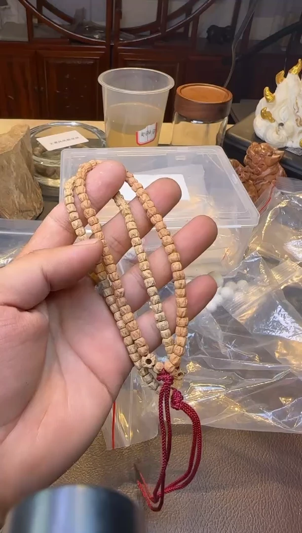 木百香籽手持多样性发其一