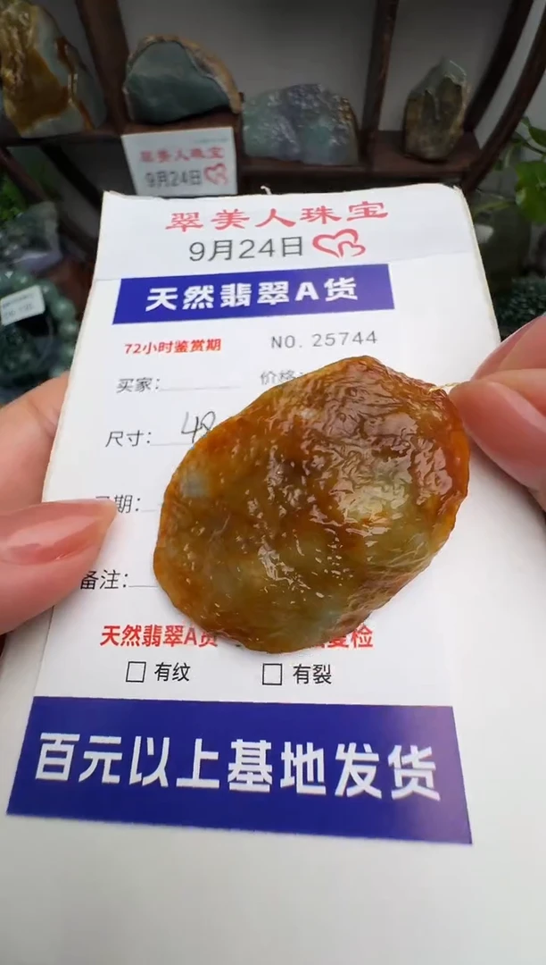 颈饰未镶嵌翡翠原石25744