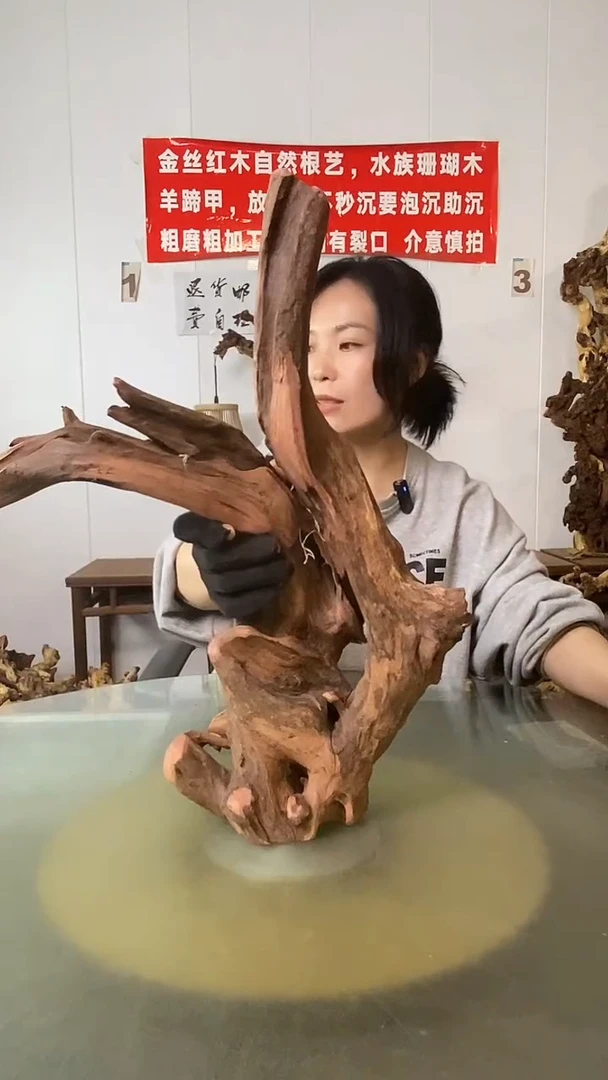 香榧木老*金丝红木 羊蹄甲