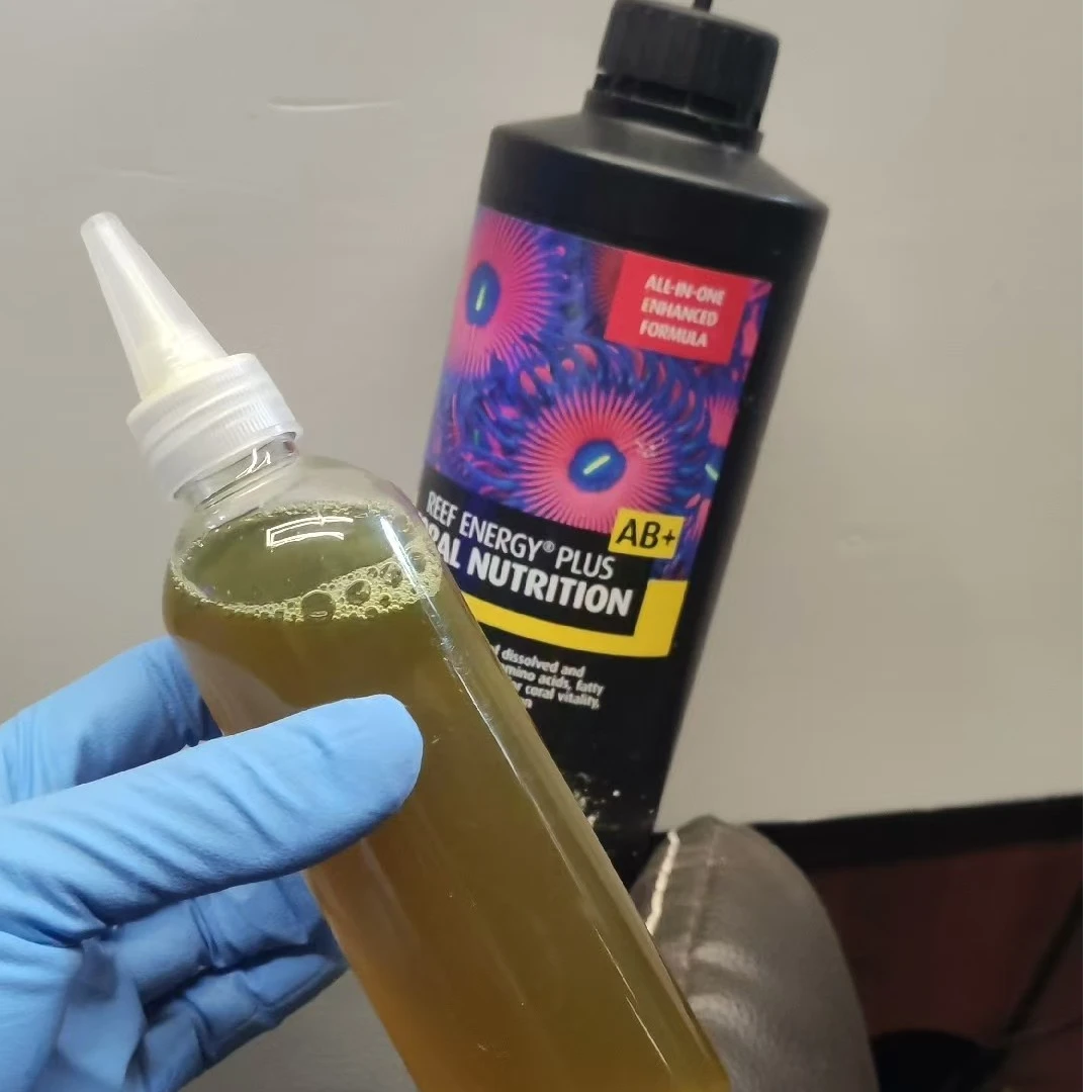 红海AB液体珊瑚粮能量剂LPS软体珊瑚营养液氨基酸100ml分装