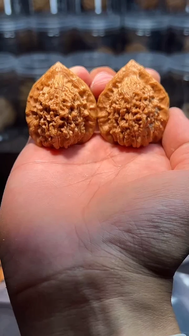 文玩核桃把件46朱雀