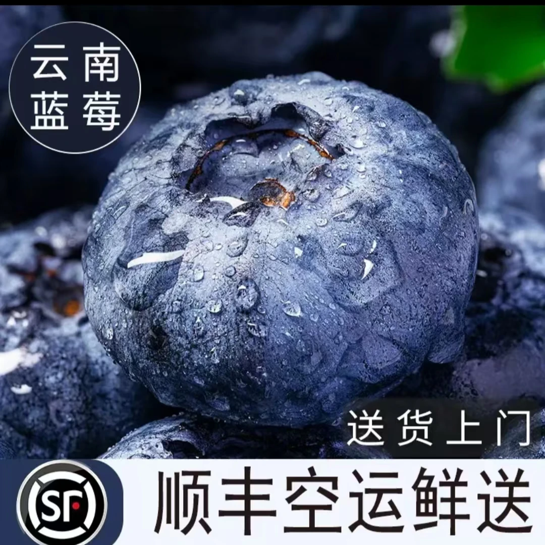 花香蓝莓（干热河谷，好吃美味！）