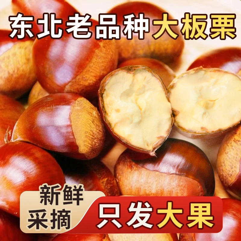 【买3斤送2斤】25东北老品种精选大果板栗到手五斤新鲜美味