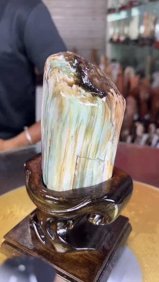 硅化玉珠宝奇石未镶嵌缅甸天然树化玉