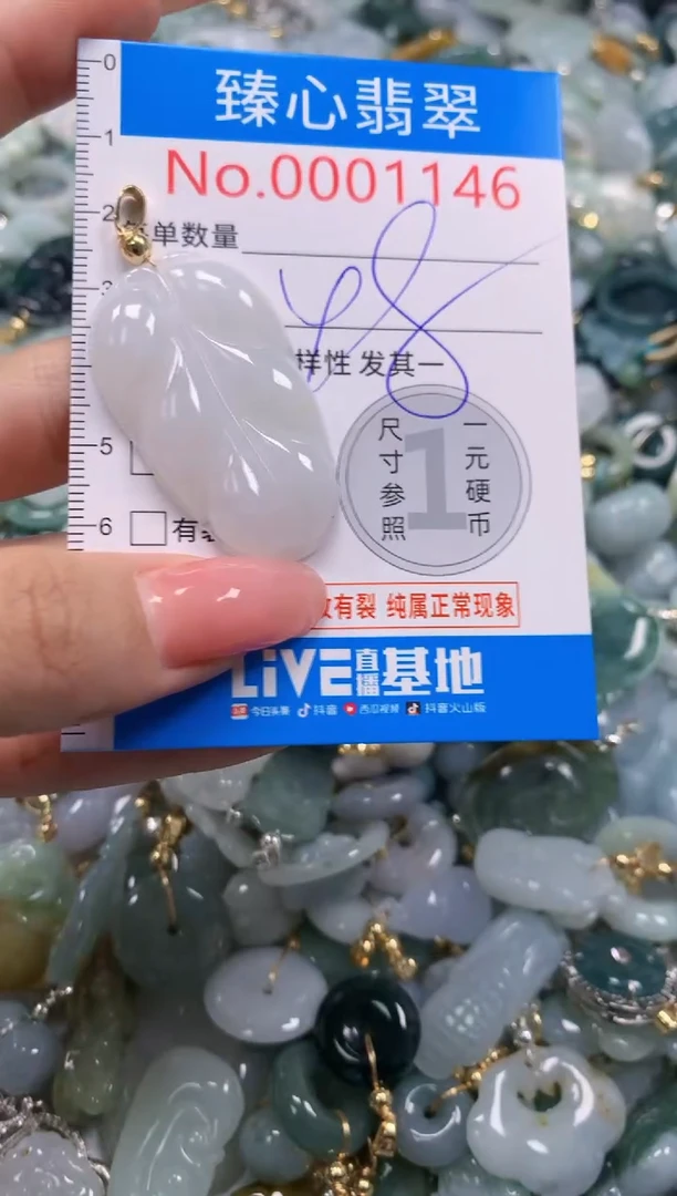 翡翠未镶嵌颈饰1146