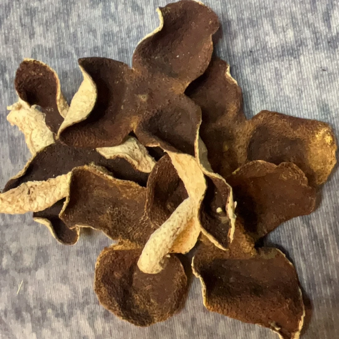 2021年东甲大红皮