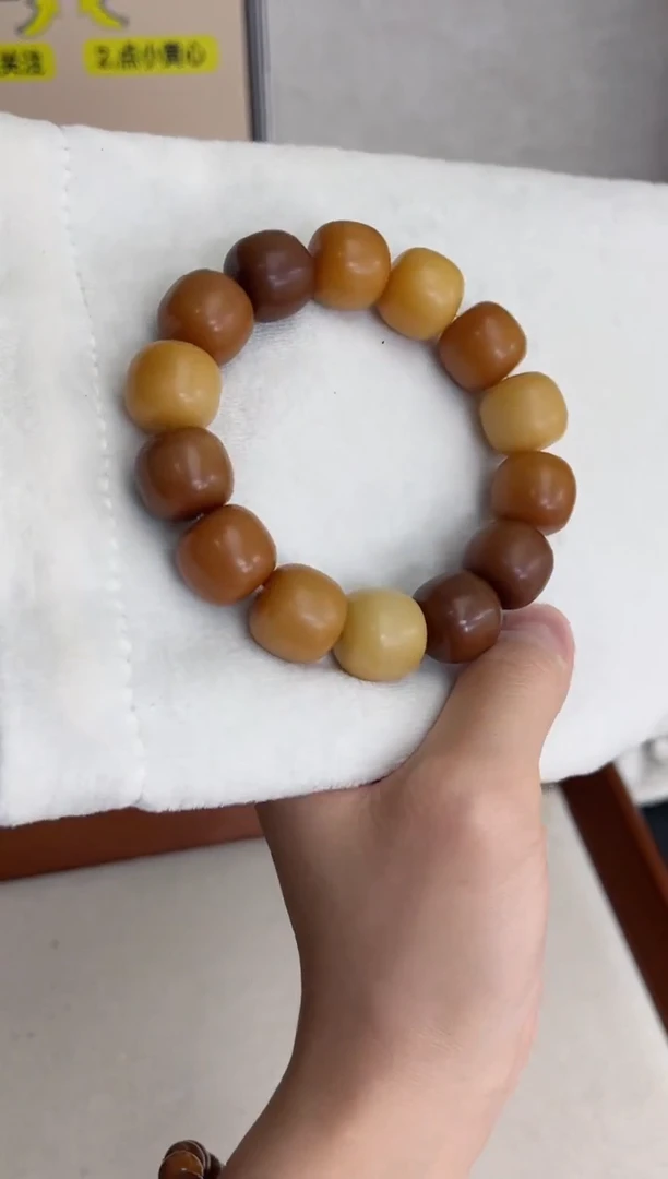 菩提根/象牙果手串d90阿尔卑斯干磨桶珠15*16手串