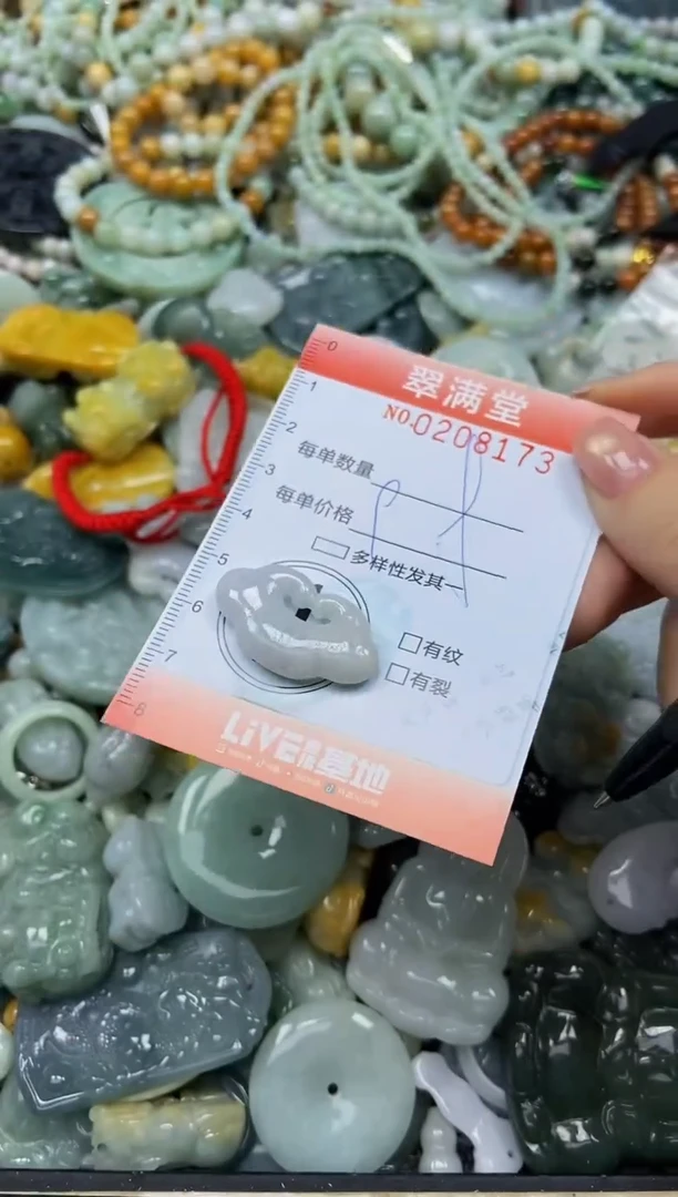 颈饰未镶嵌翡翠闪购0208173