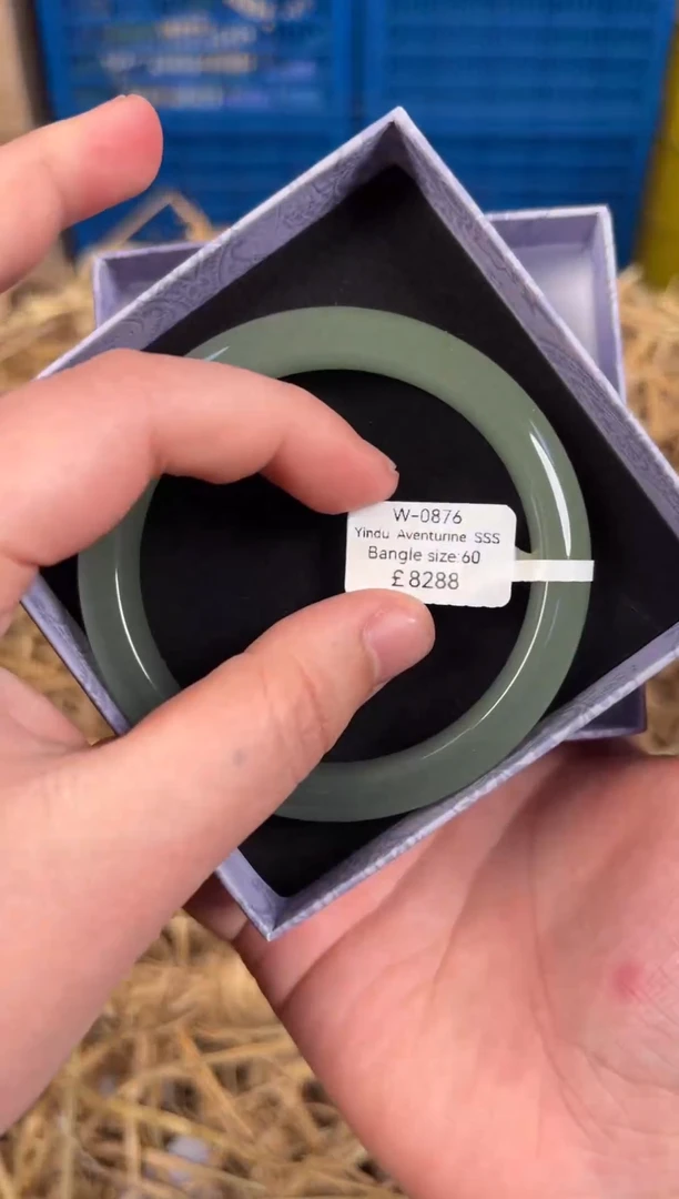 未镶嵌手镯石英质玉W0876