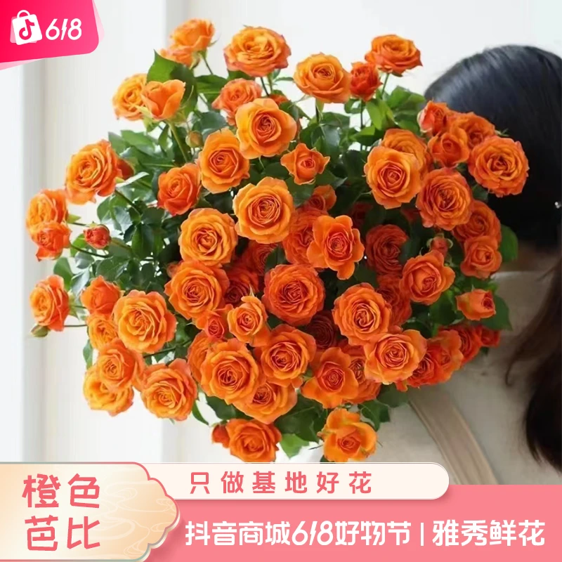【橙色芭比】云南鲜花生日花卉基地直发玫瑰花养花拍2单发顺丰