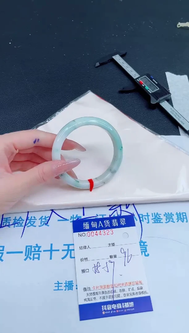 未镶嵌手镯翡翠0584834231