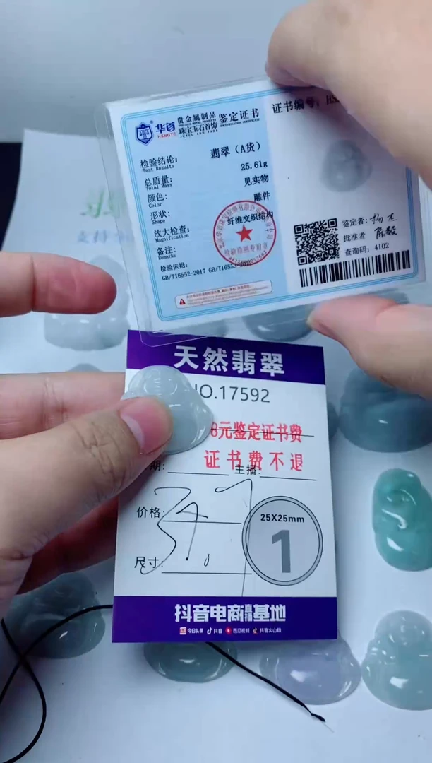 翡翠未镶嵌颈饰592